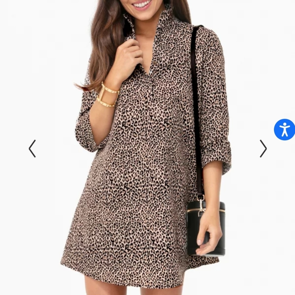 NWT Megan Leopard Taffeta Dress